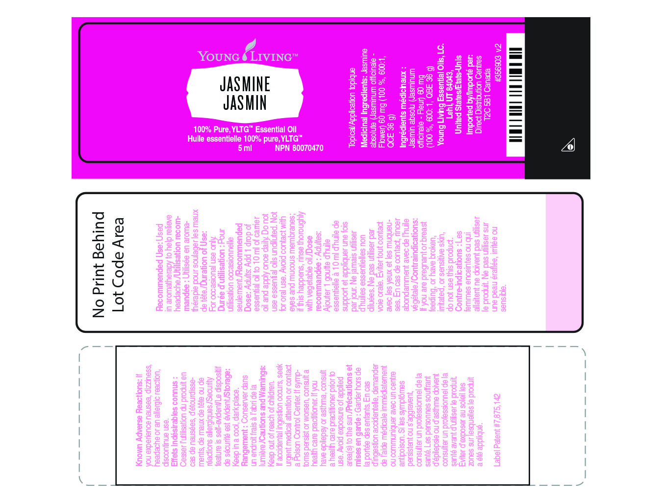 Jasmine Essential Oil Young Living Essential Oils