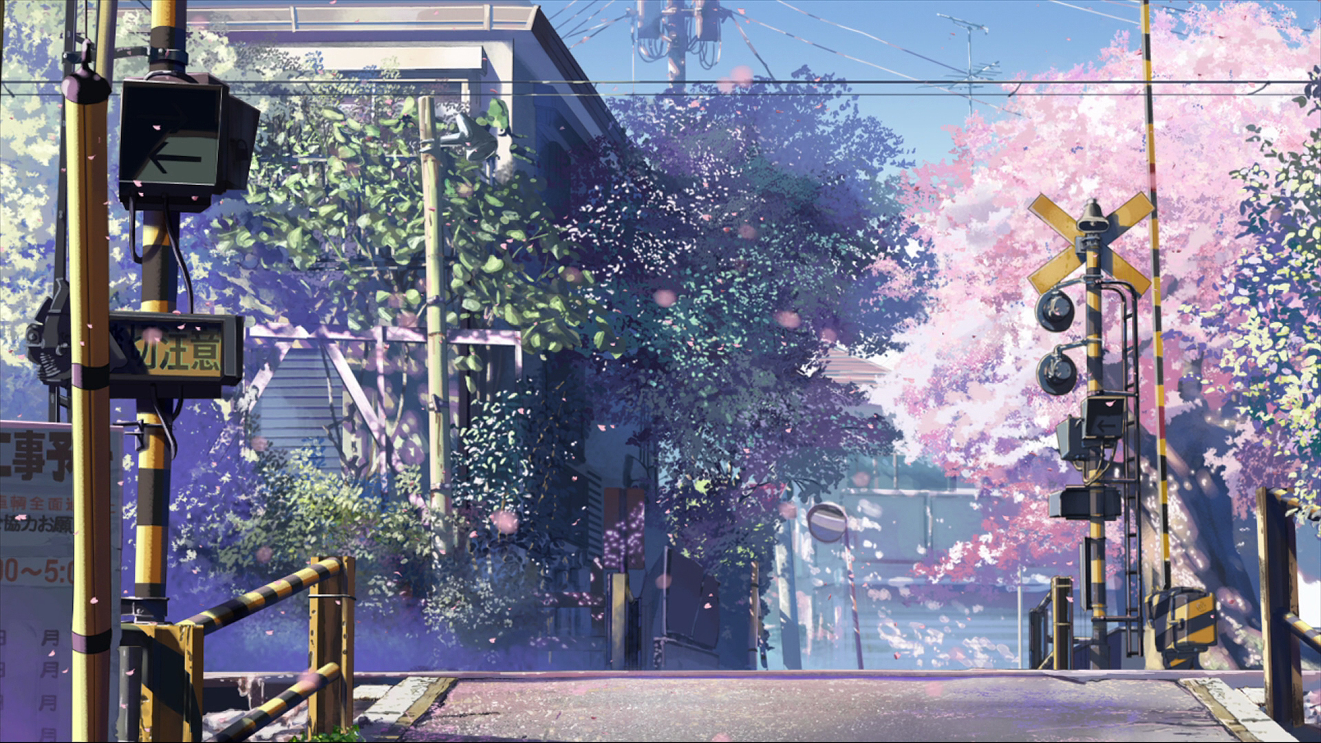 5 Centimeters Per Second/HD Wallpaper Zerochan
