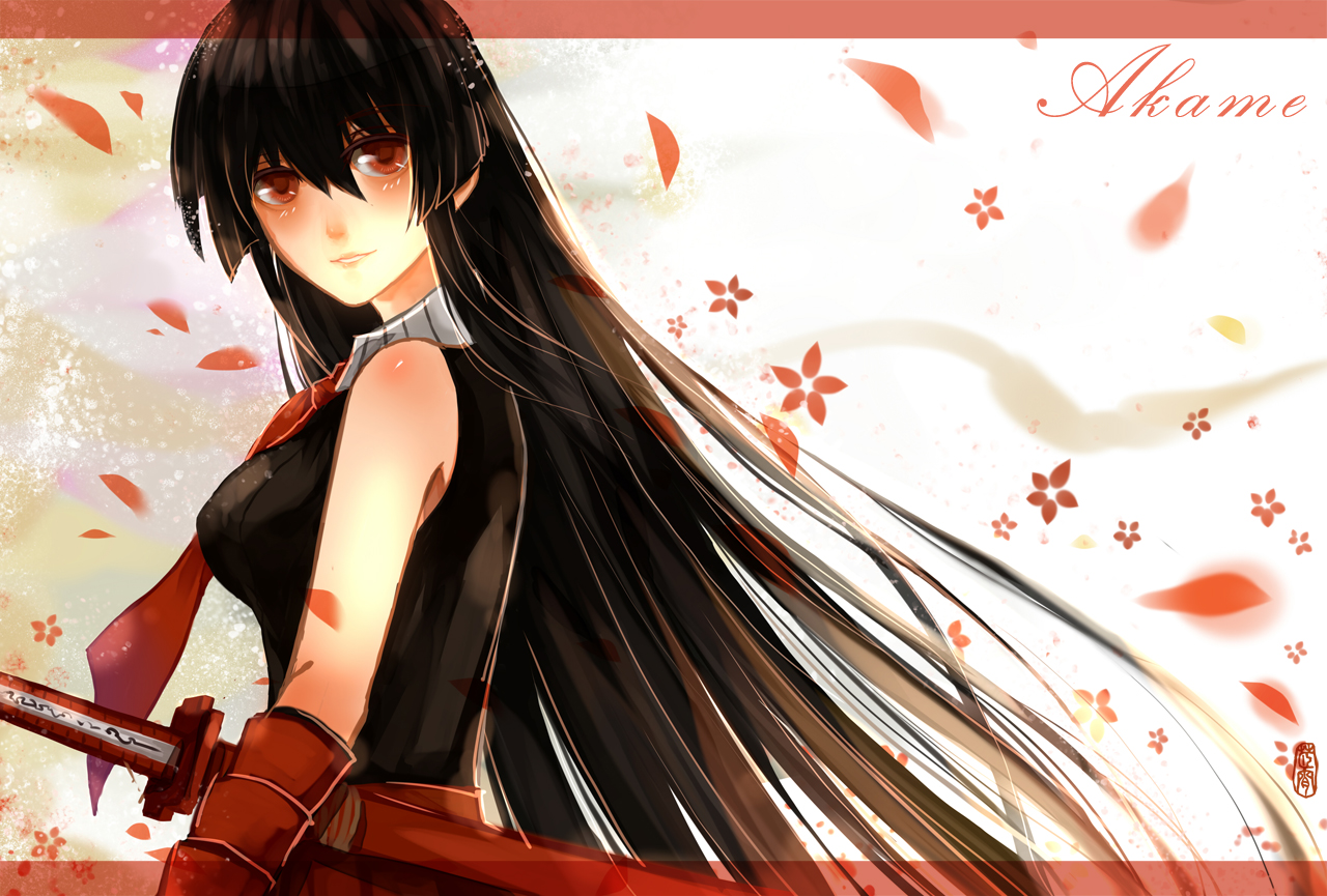 Akame (Akame ga Kill!) Image 1874623 Zerochan Anime Image Board