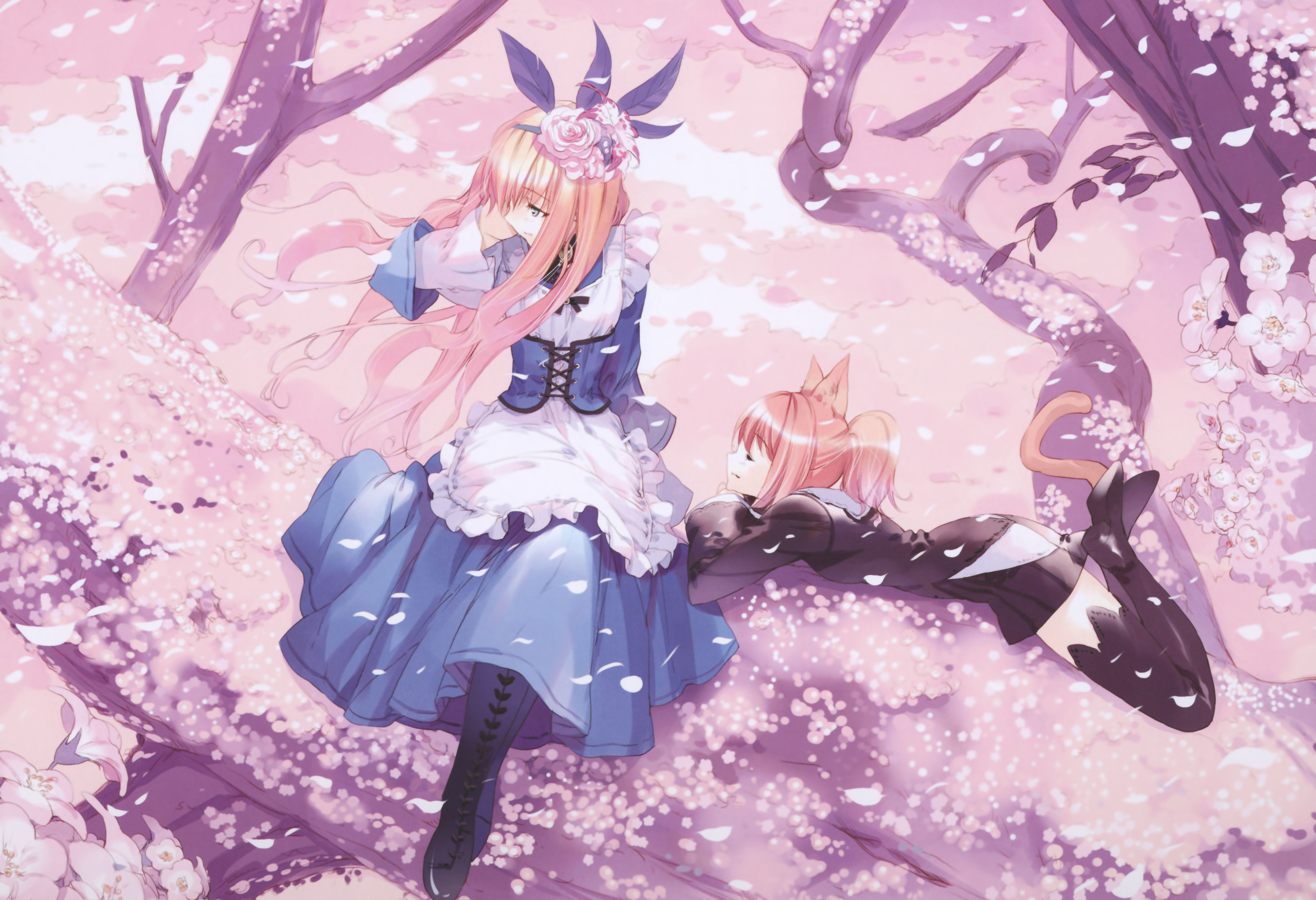 Alice in Wonderland/118748 Zerochan