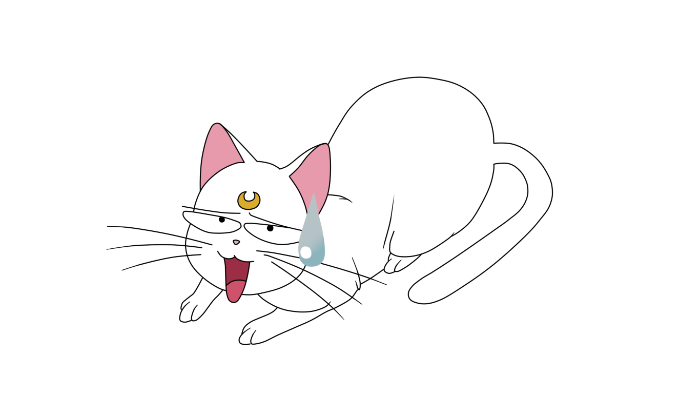 Sailor Moon Artemis PFP