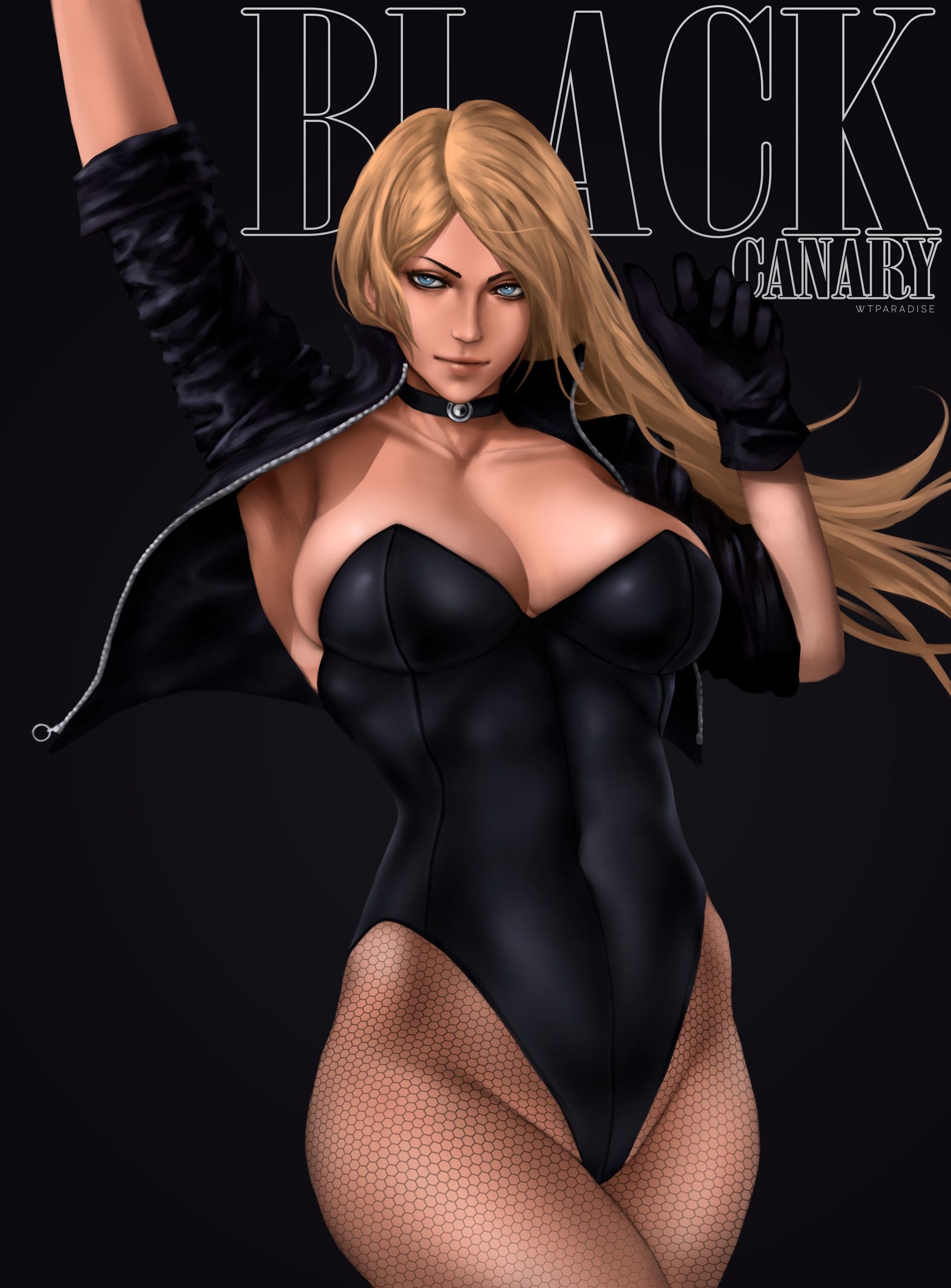 Young Justice Black Canary Hot