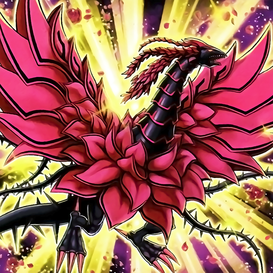 Black Rose Dragon YuGiOh! 5D's Image by YugiMaster 2066726