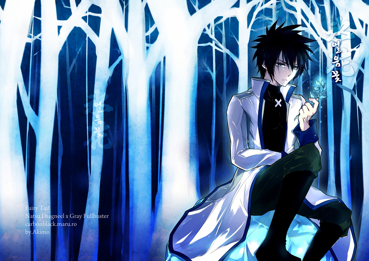 Gray Fullbuster FAIRY TAIL Image by Akimo 792242 Zerochan Anime