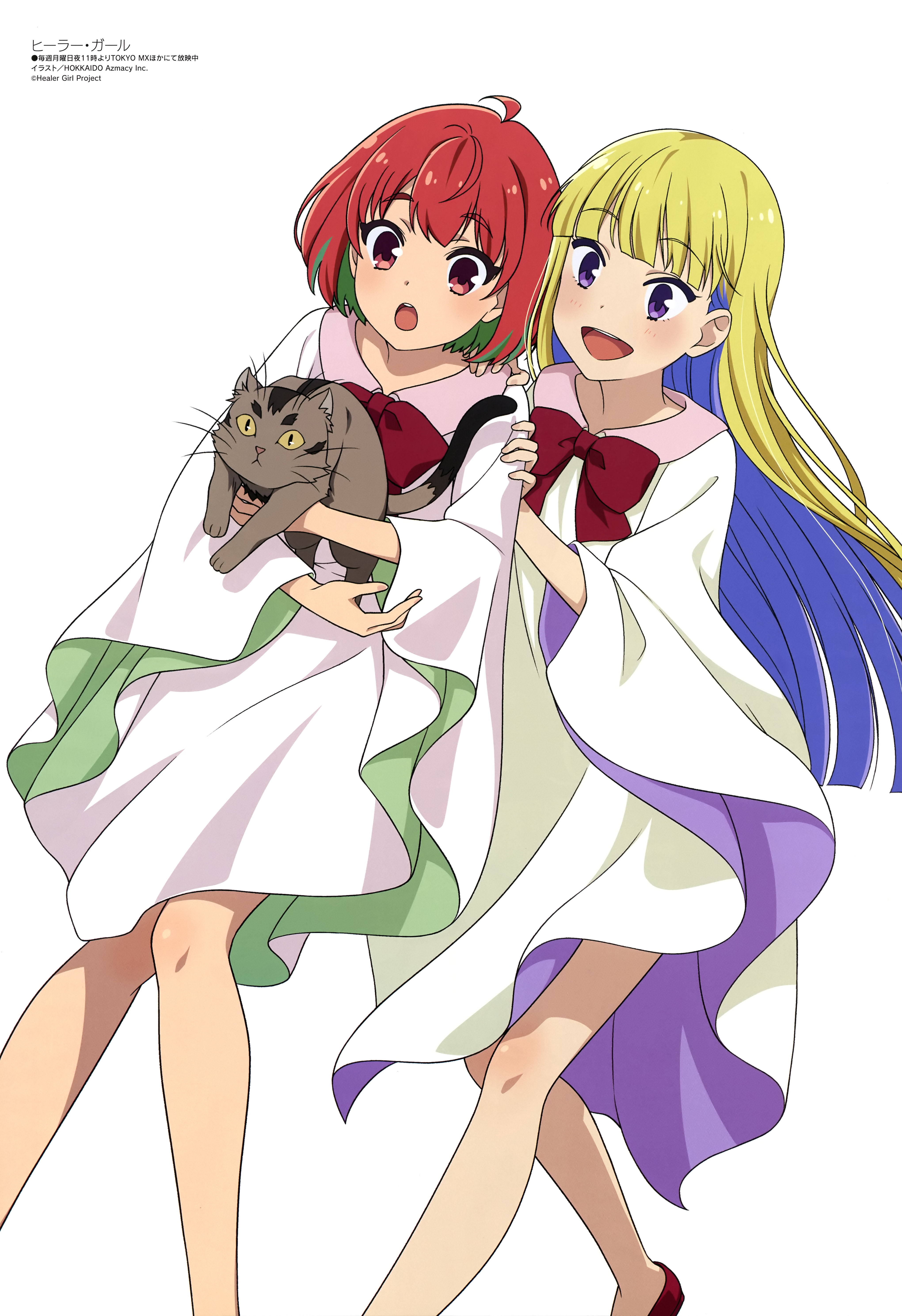Itsushiro Reimi Healer Girl Zerochan Anime Image Board