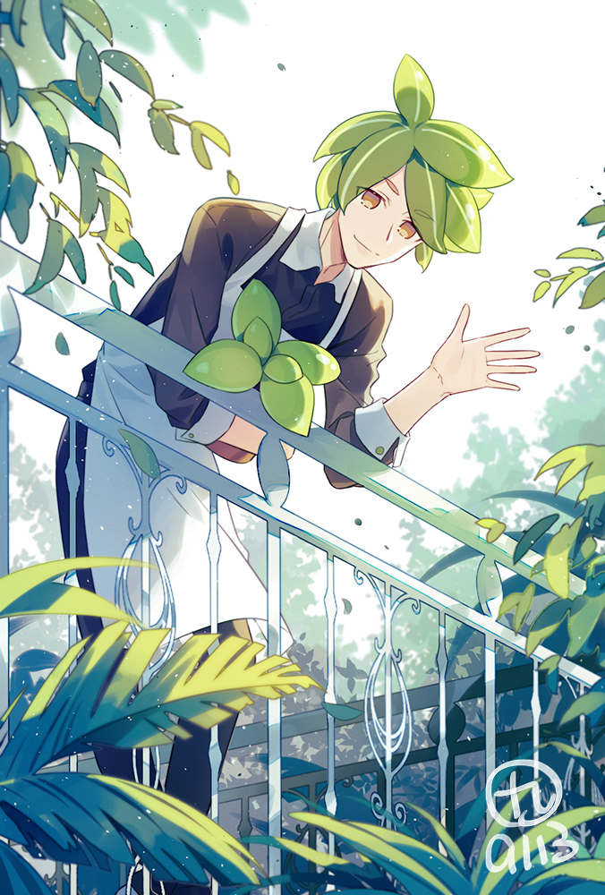 Cookie Run Herb Cookie Wallpaper Foto Lukas