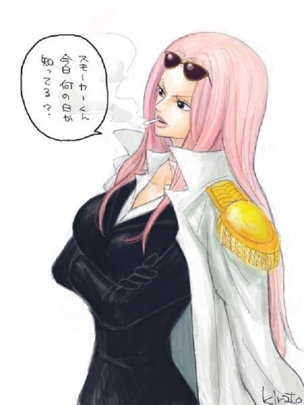 Hina (ONE PIECE) Image 2820470 Zerochan Anime Image Board