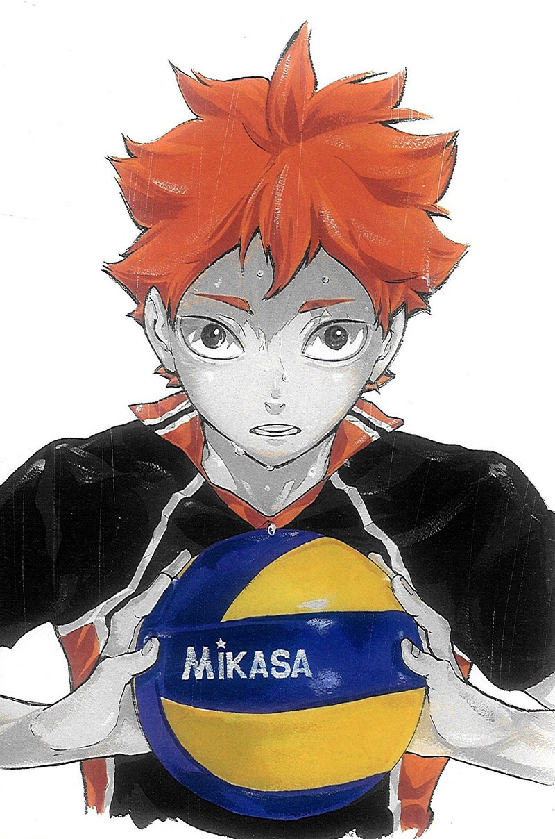 Haikyuu Hinata Art
