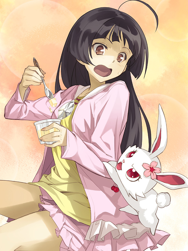 Jewelpet Sunshine Image by Shimotsuki Eito 1001172 Zerochan Anime