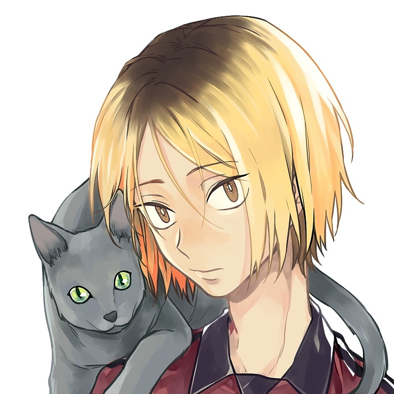 Kozume Kenma/1740705 Zerochan