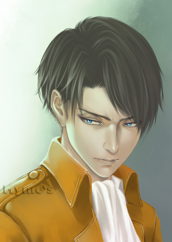 Levi/1753590 Zerochan