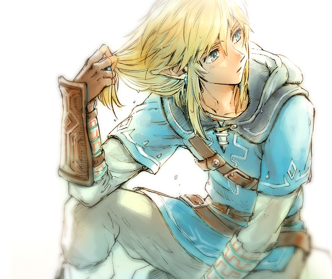 Link (Breath of the Wild) Zelda no Densetsu Breath of