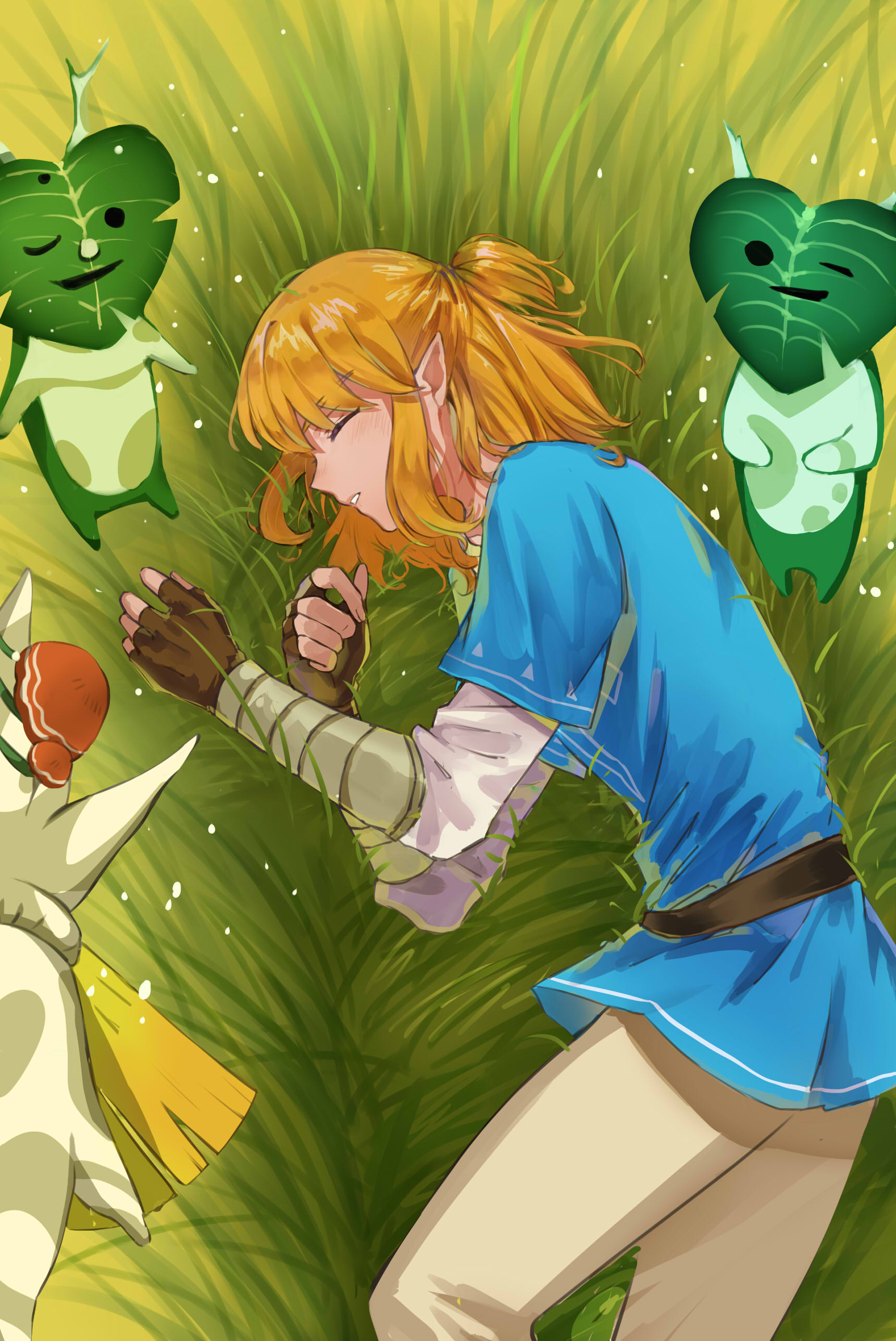 Link (Breath of the Wild) Zelda no Densetsu Breath of the Wild