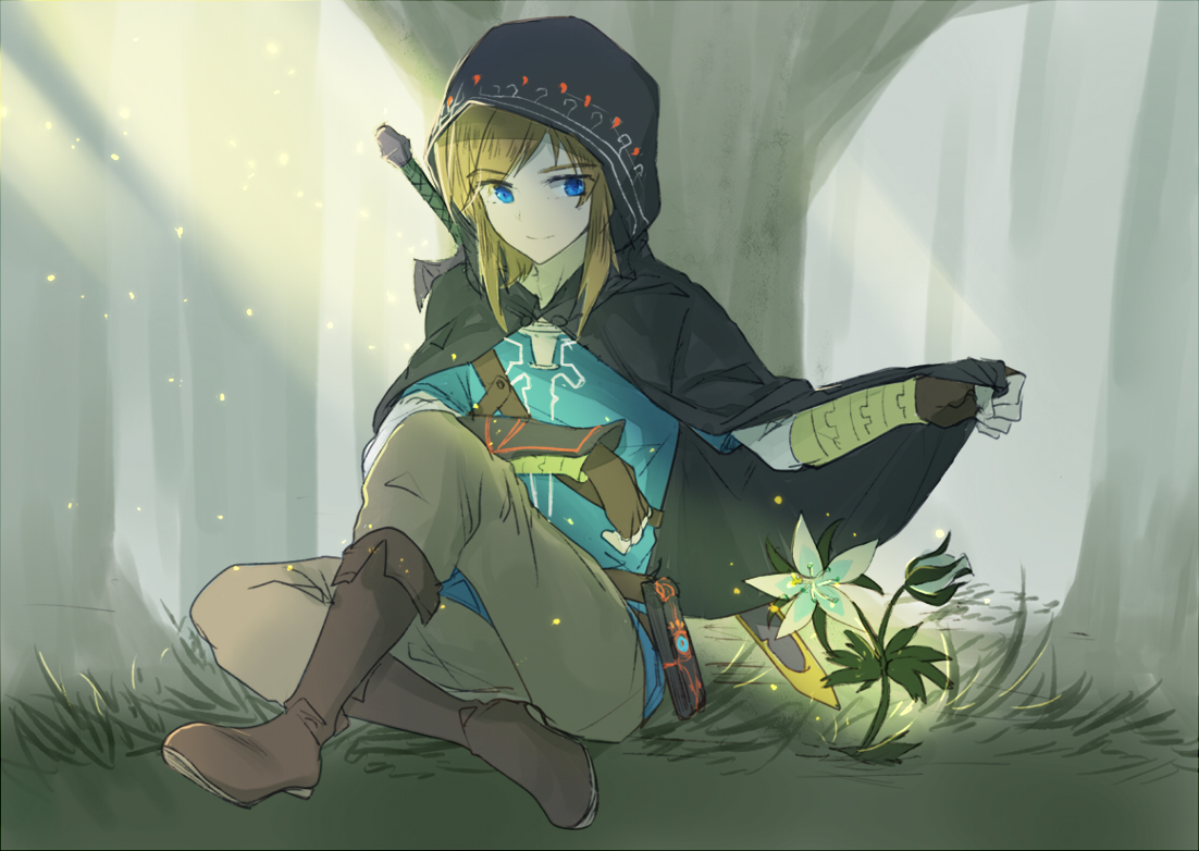Link (Breath of the Wild) Zelda no Densetsu Breath of the Wild