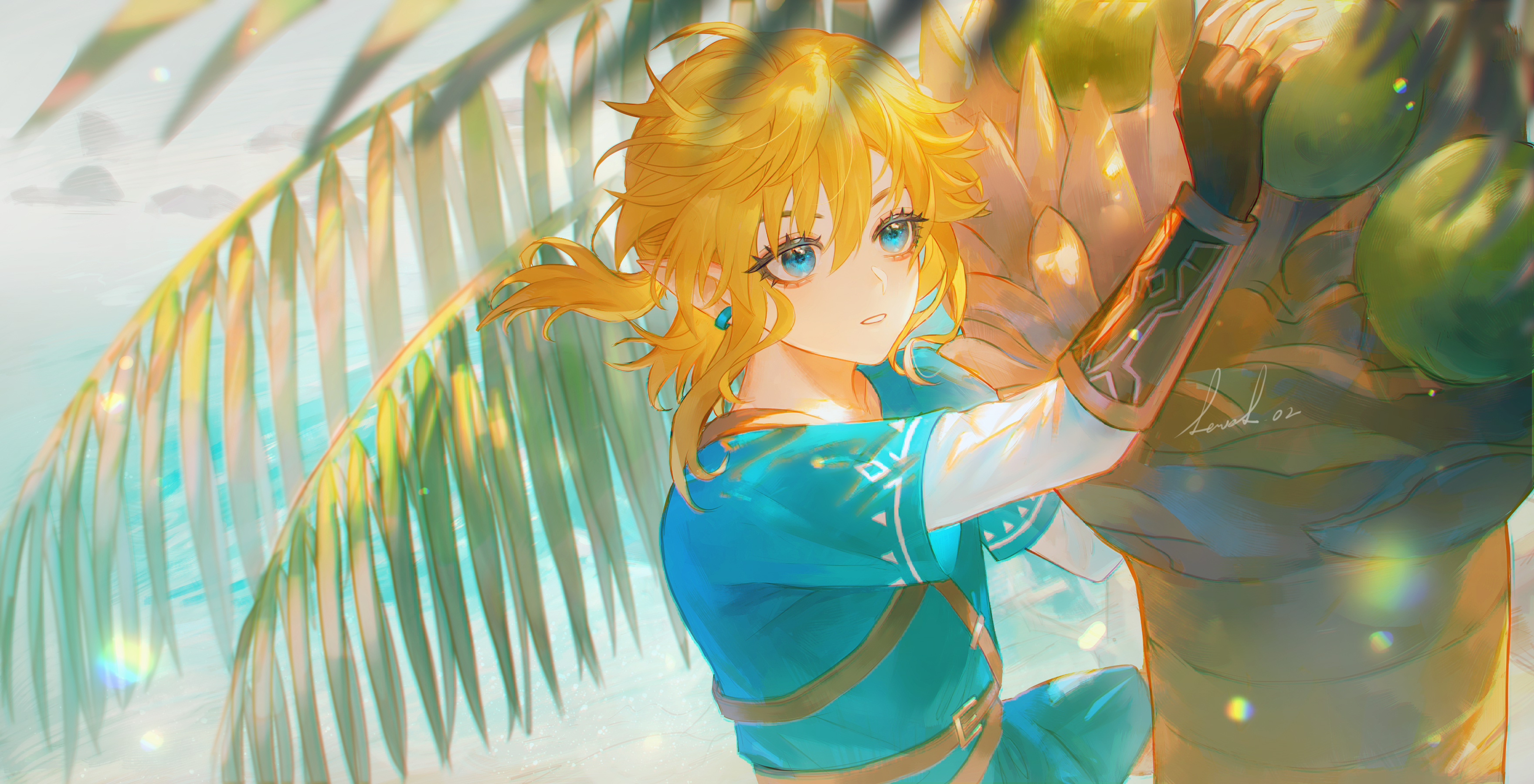 Link (Breath of the Wild) Zelda no Densetsu Breath of the Wild