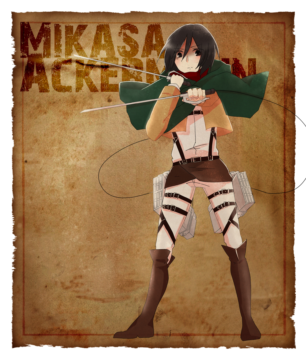 Mikasa Ackerman/1578332 Zerochan