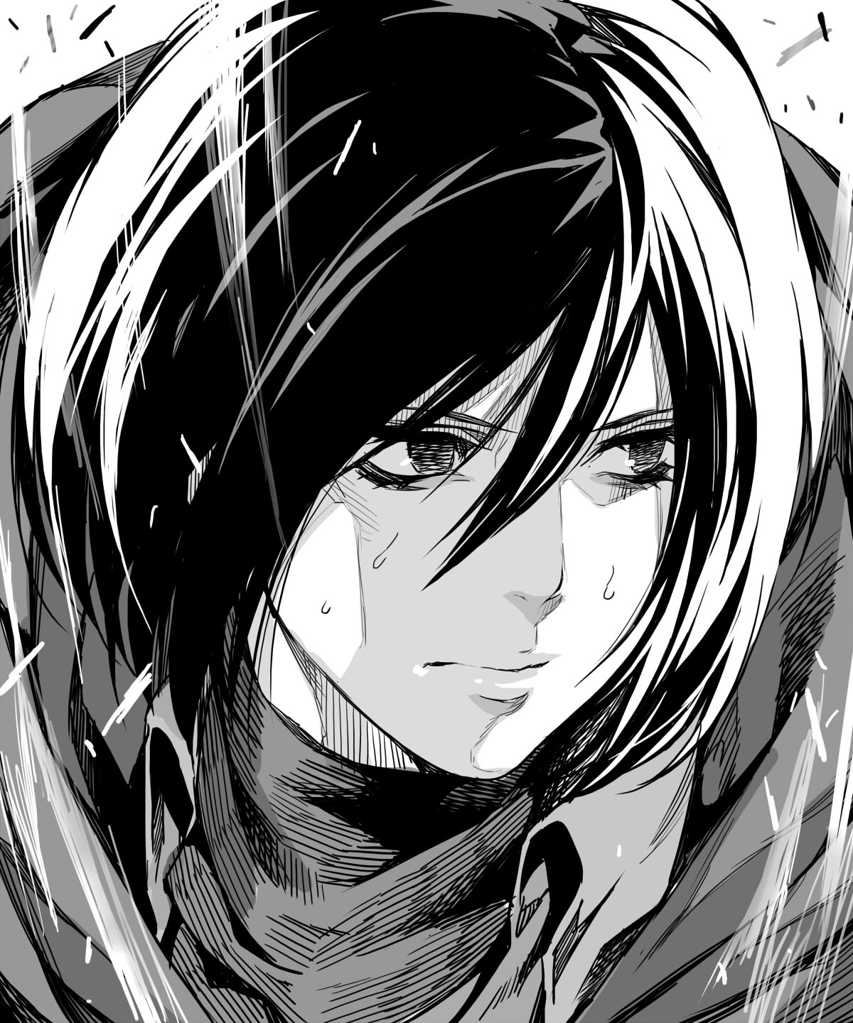 Mikasa Ackerman Attack on Titan Image by RBY 1751501 Zerochan