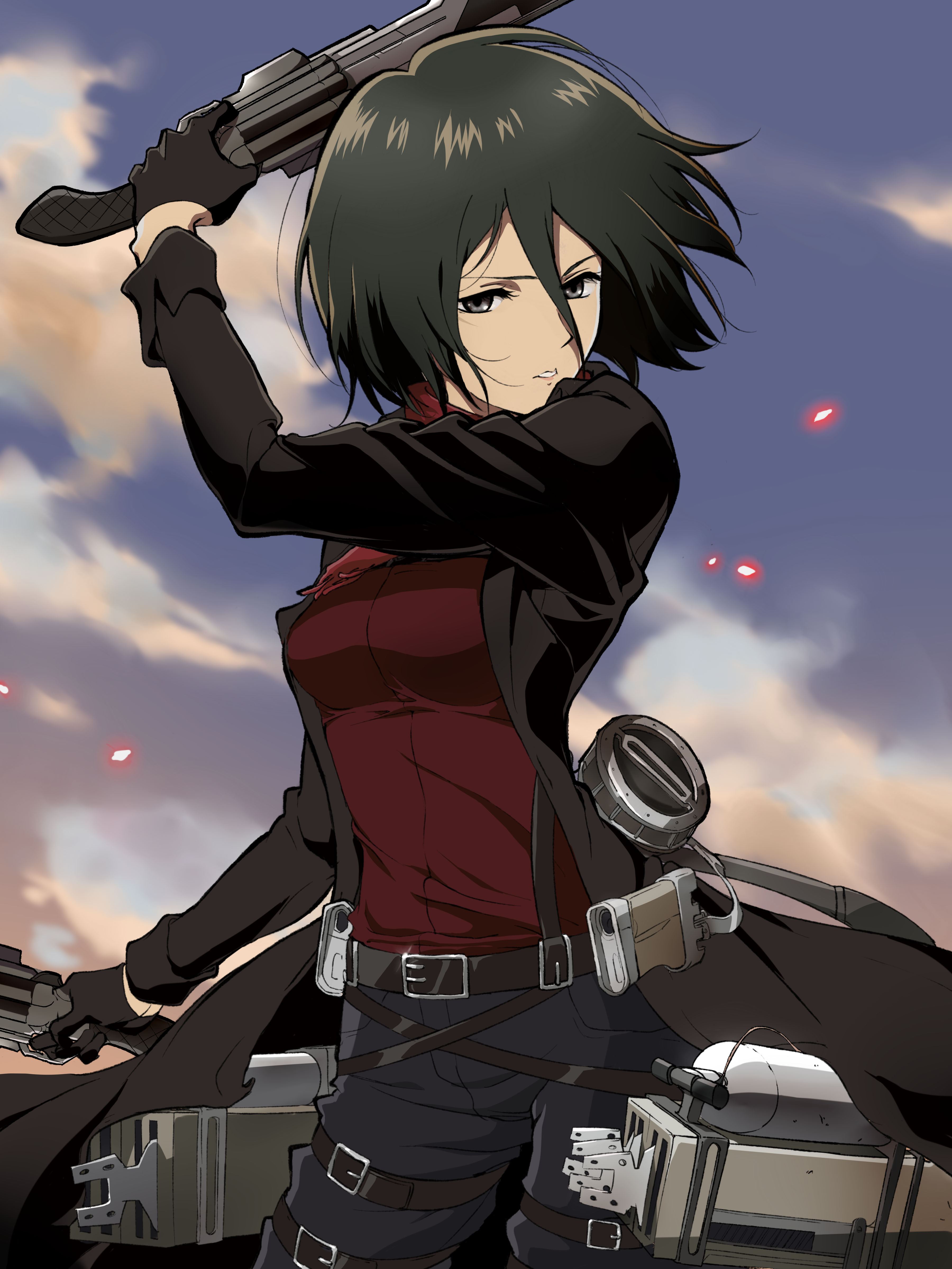 Mikasa Ackerman - Attack on Titan - Image #2608608 - Zerochan Anime