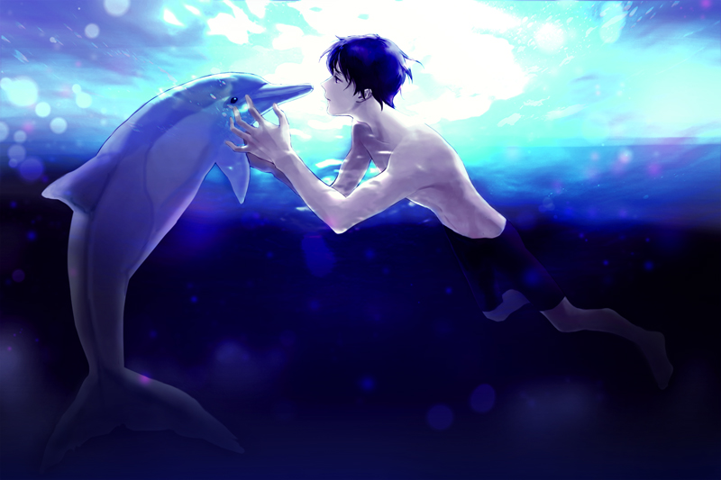 Nanase Haruka (Free!)/1556254 Zerochan