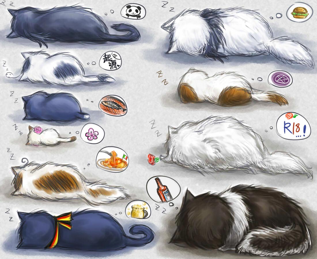 Nekotalia Axis Powers Hetalia Image by Pixiv Id 3056602 943504