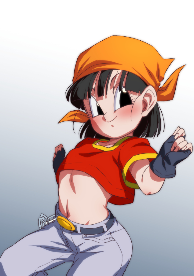 Pan (DRAGON BALL) Image by ROMtaku #4155199 - Zerochan Anime Image Board