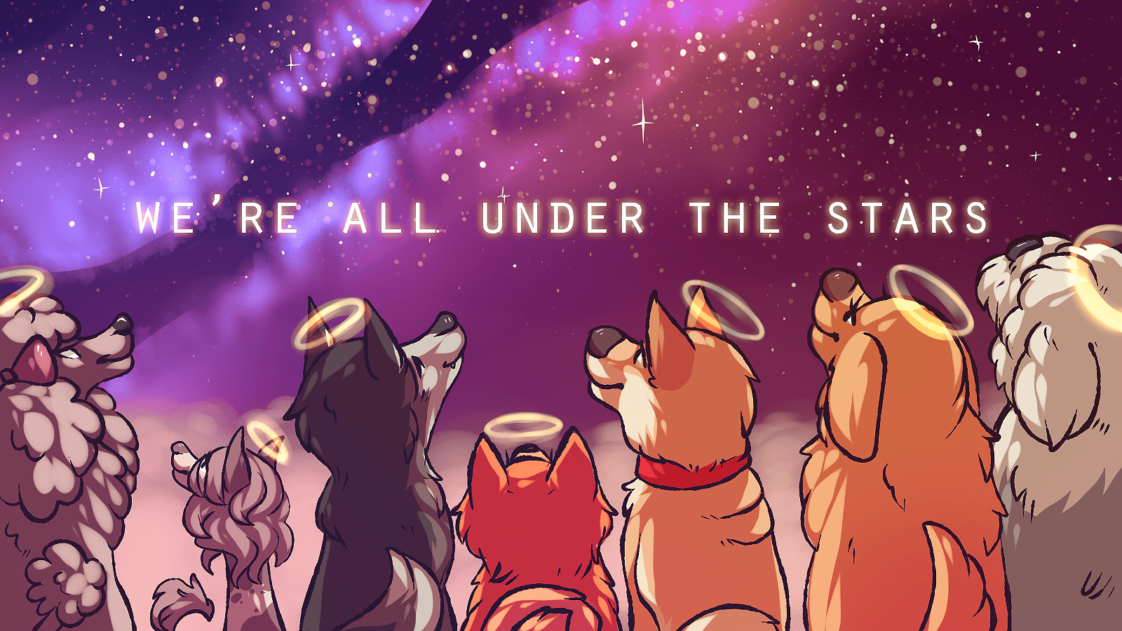 Sifilis Siberian Husky Bianca Iadanza