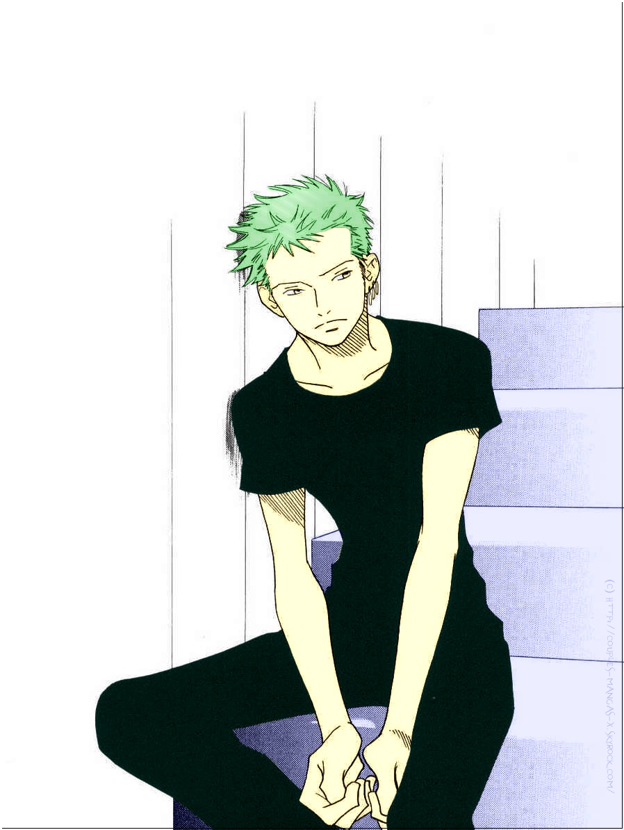 Roronoa Zoro ONE PIECE Image 1181627 Zerochan Anime Image Board