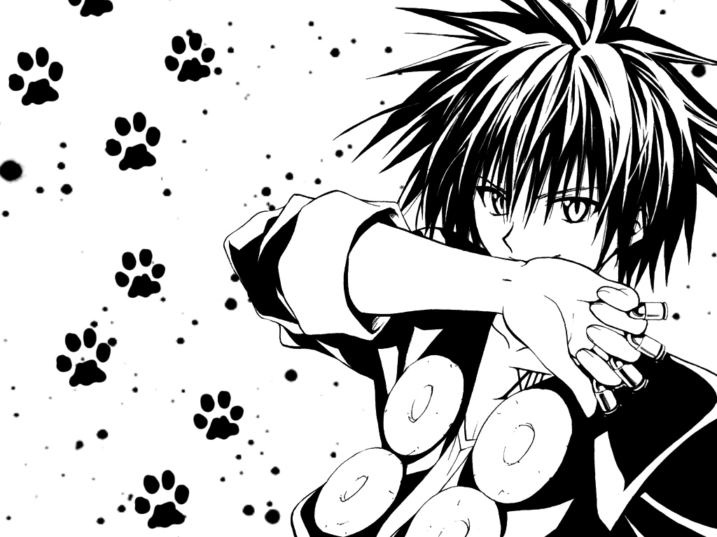 Train Black Cat (Series) Wallpaper 389314 Zerochan