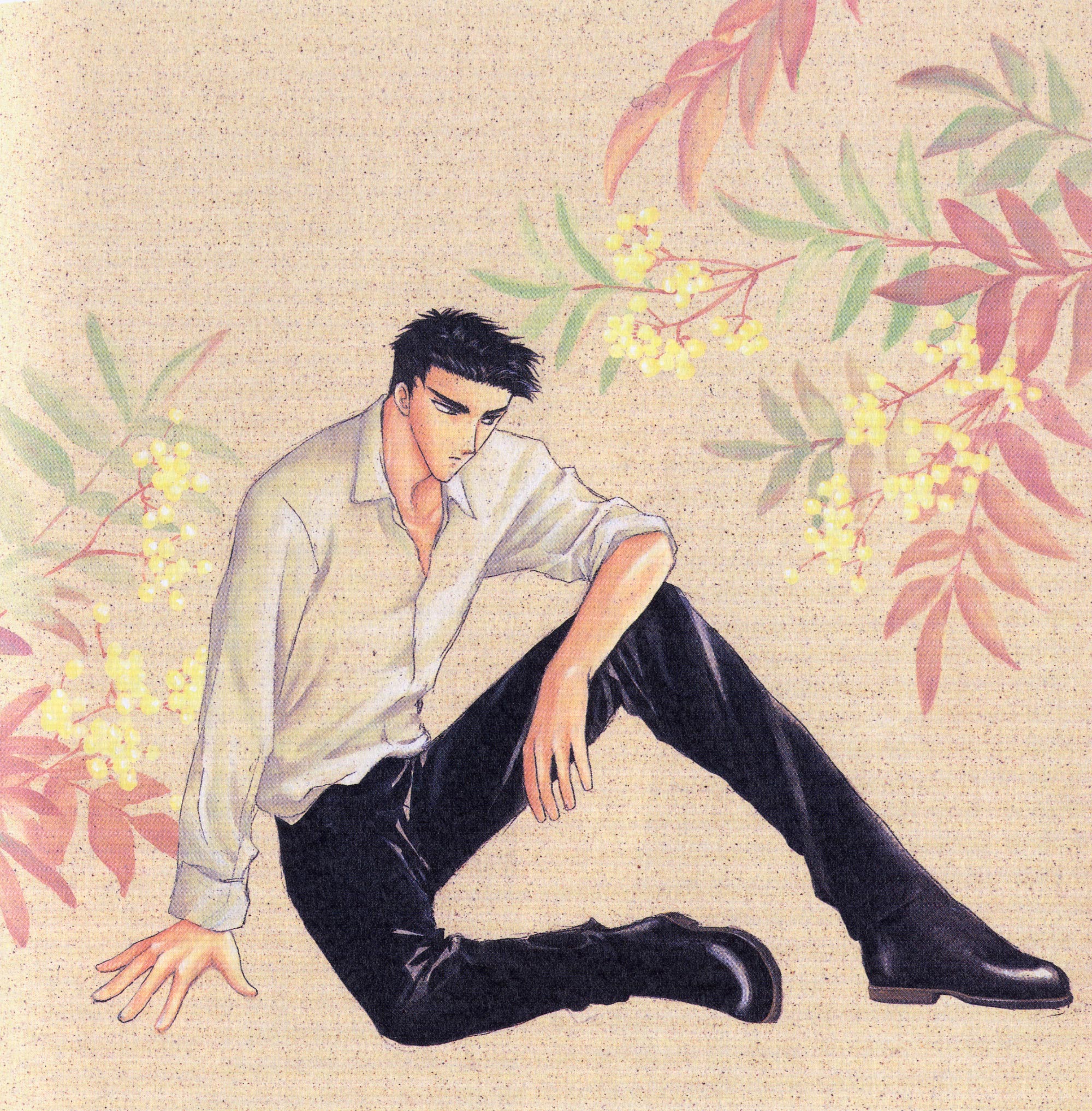 Wish CLAMP Image by CLAMP 55722 Zerochan Anime Image Board