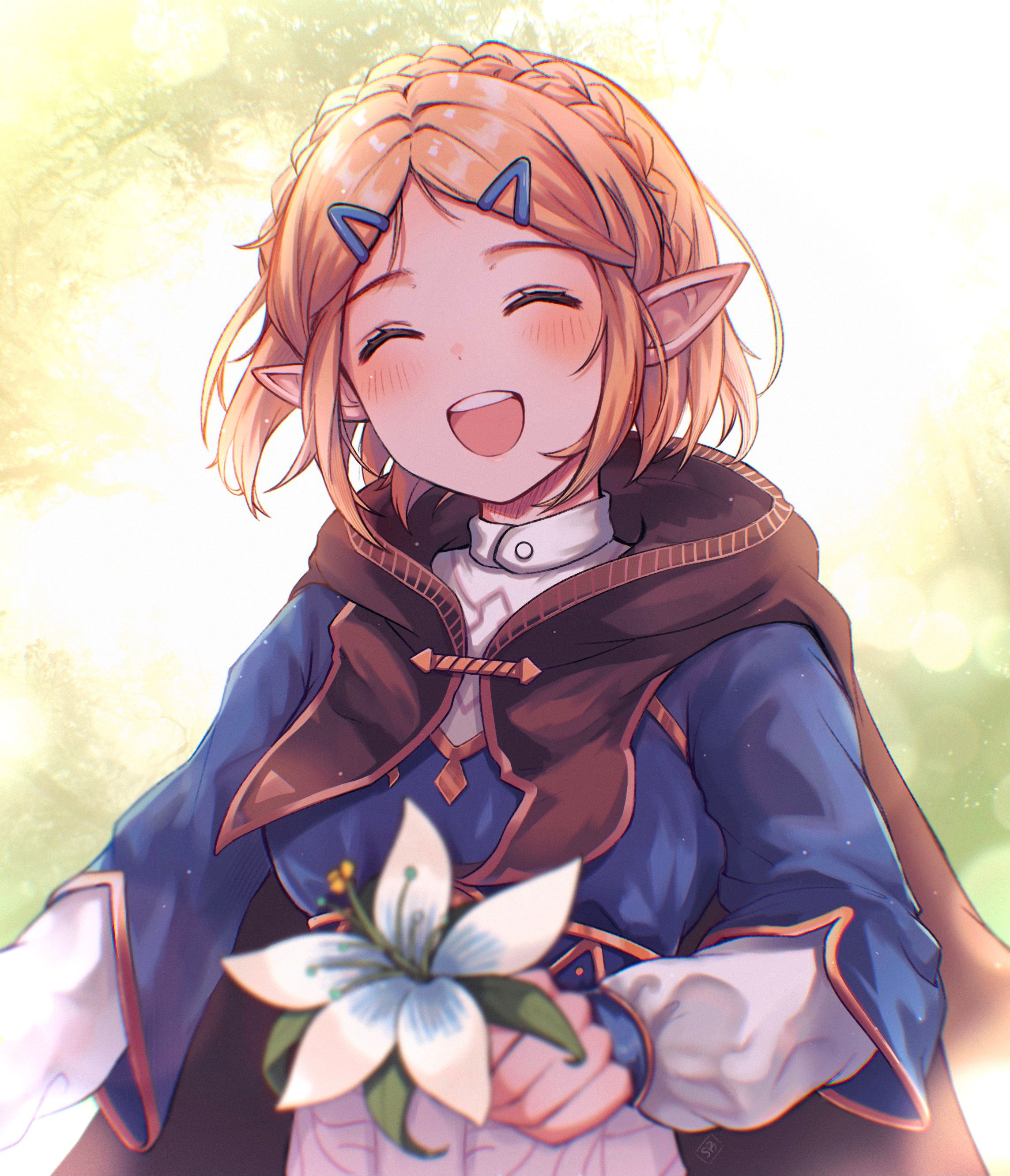 Zelda (Breath of the Wild) Zelda no Densetsu Breath of the Wild