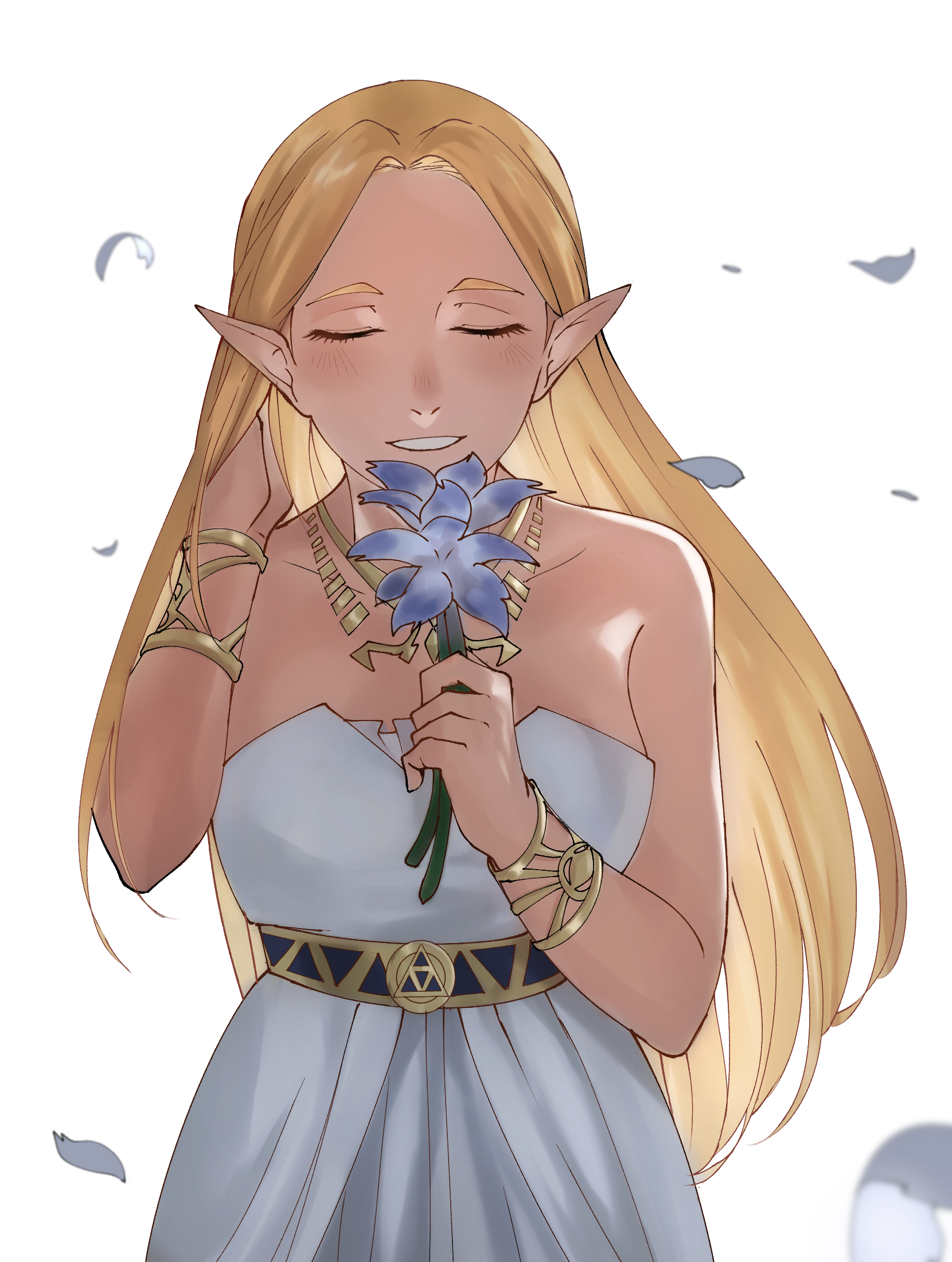 Zelda (Breath of the Wild) Zelda no Densetsu Breath of the Wild