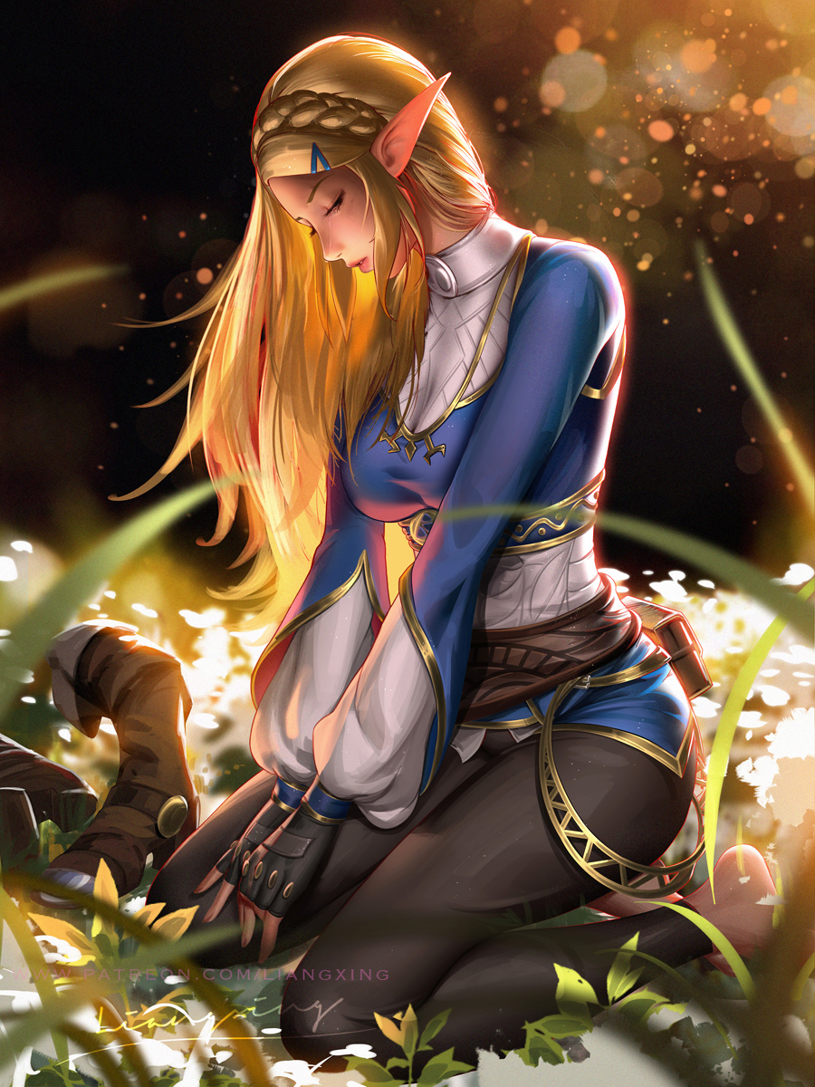 Zelda (Breath of the Wild) - Zelda no Densetsu: Breath of the Wild