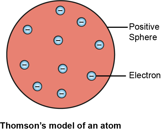 Draw the sketch of Thomson's model of an atom.