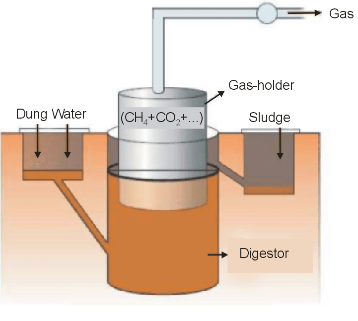 Draw a labelled diagram of typical biogas plant.