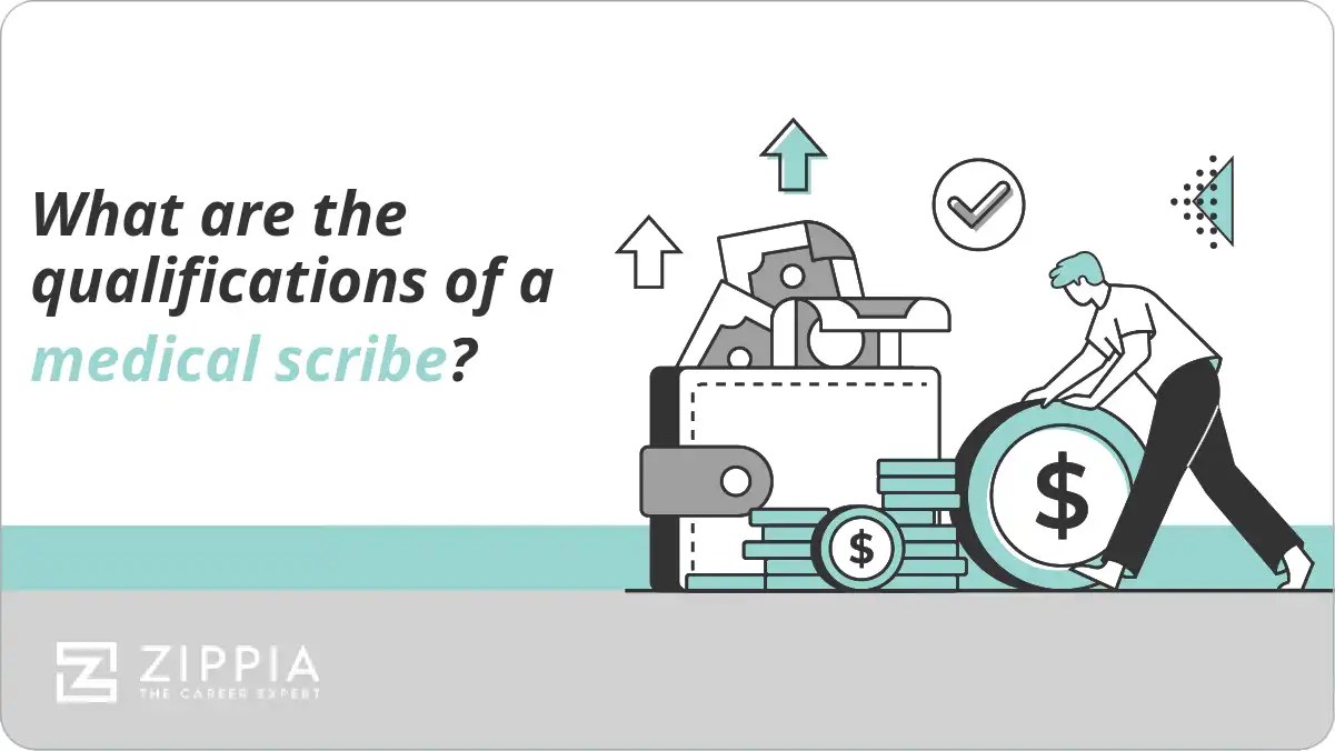 What are the qualifications of a medical scribe? Zippia