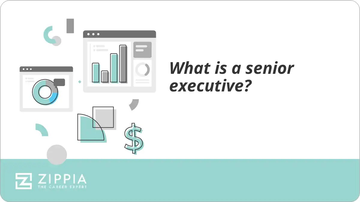 What is a senior executive? Zippia