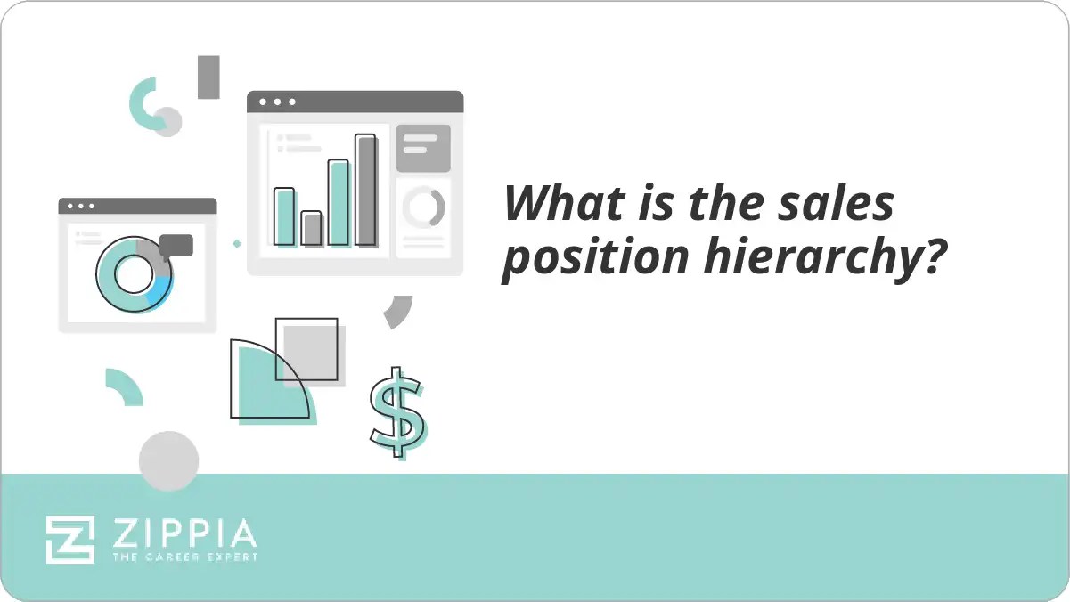 What is the sales position hierarchy? Zippia