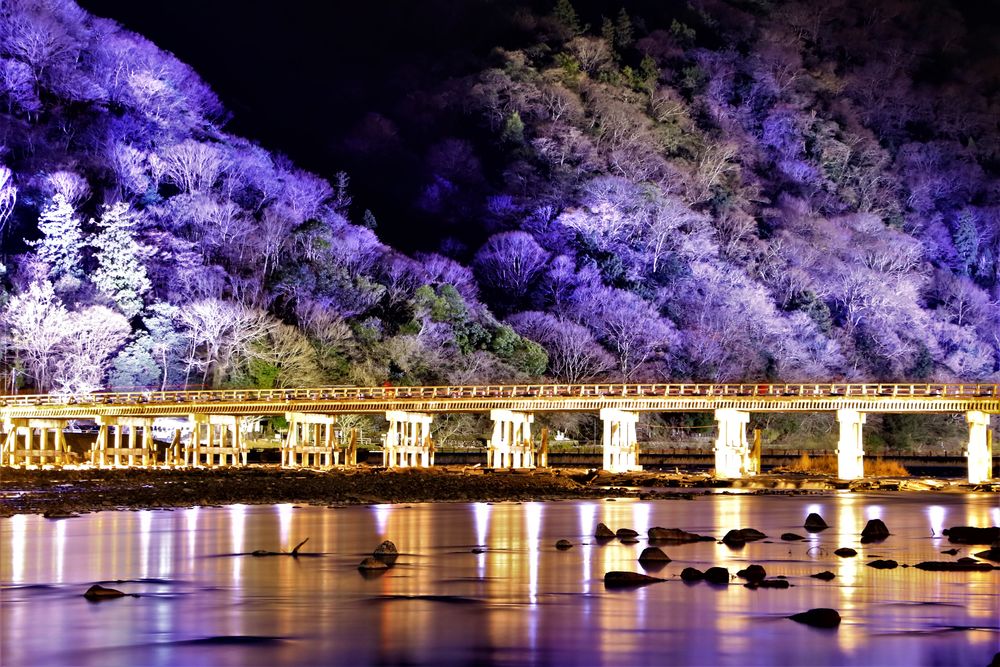 嵐山花灯路でライトアップされた渡月橋 絶景事典