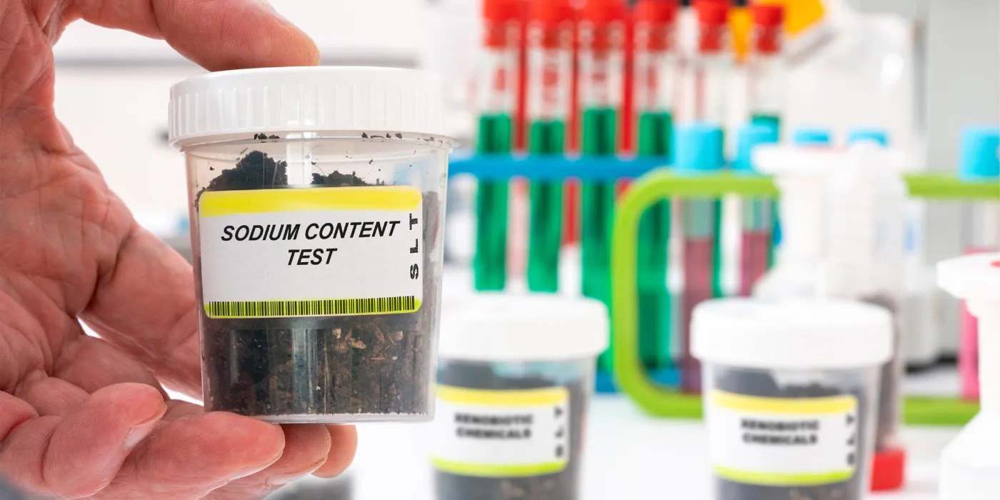 Soil test sample for sodium