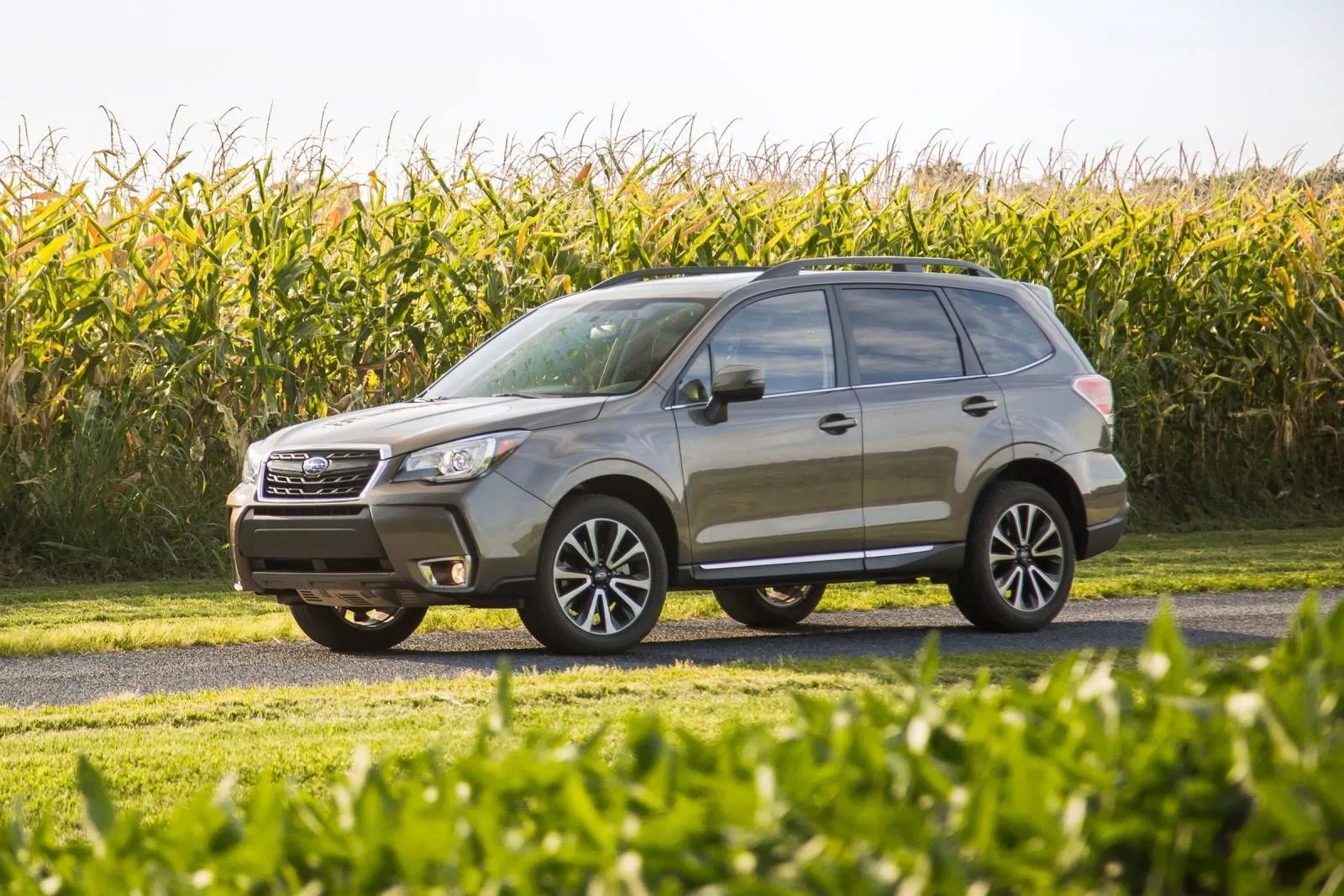 2017 Subaru Forester 2.5i Premium Manual | CarBuzz