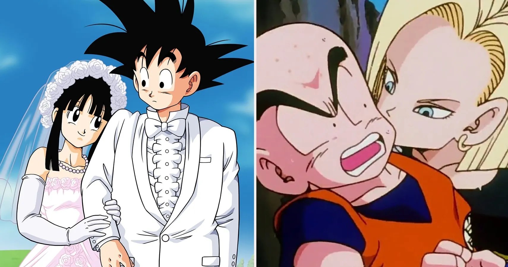 Dragon Ball 5 Reasons Goku & ChiChi Are The Best Couple (& 5 Reasons
