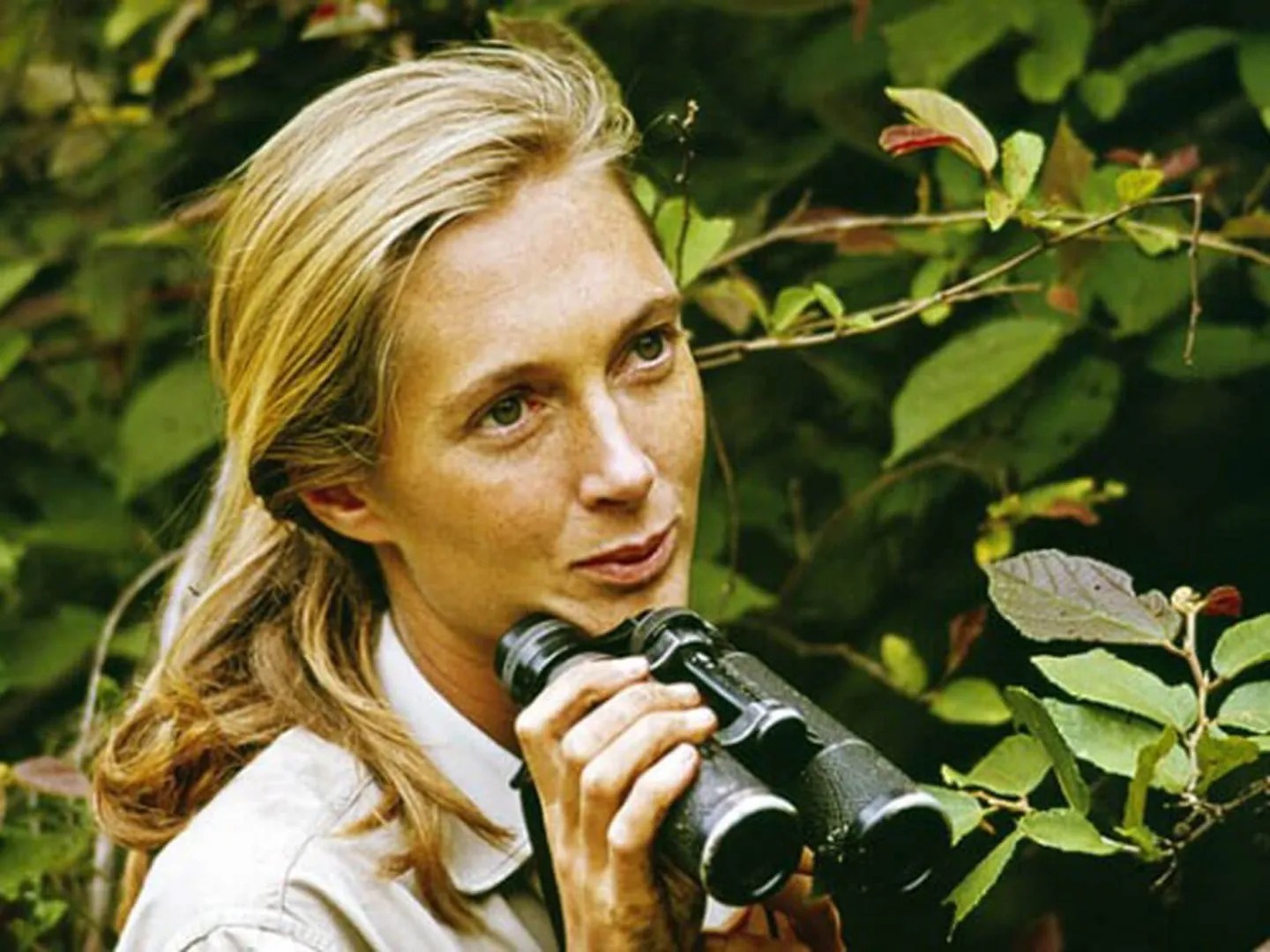 Jane Goodall Age 2025 Dr. Jane Goodall died today of natural causes at age 91. {20251001