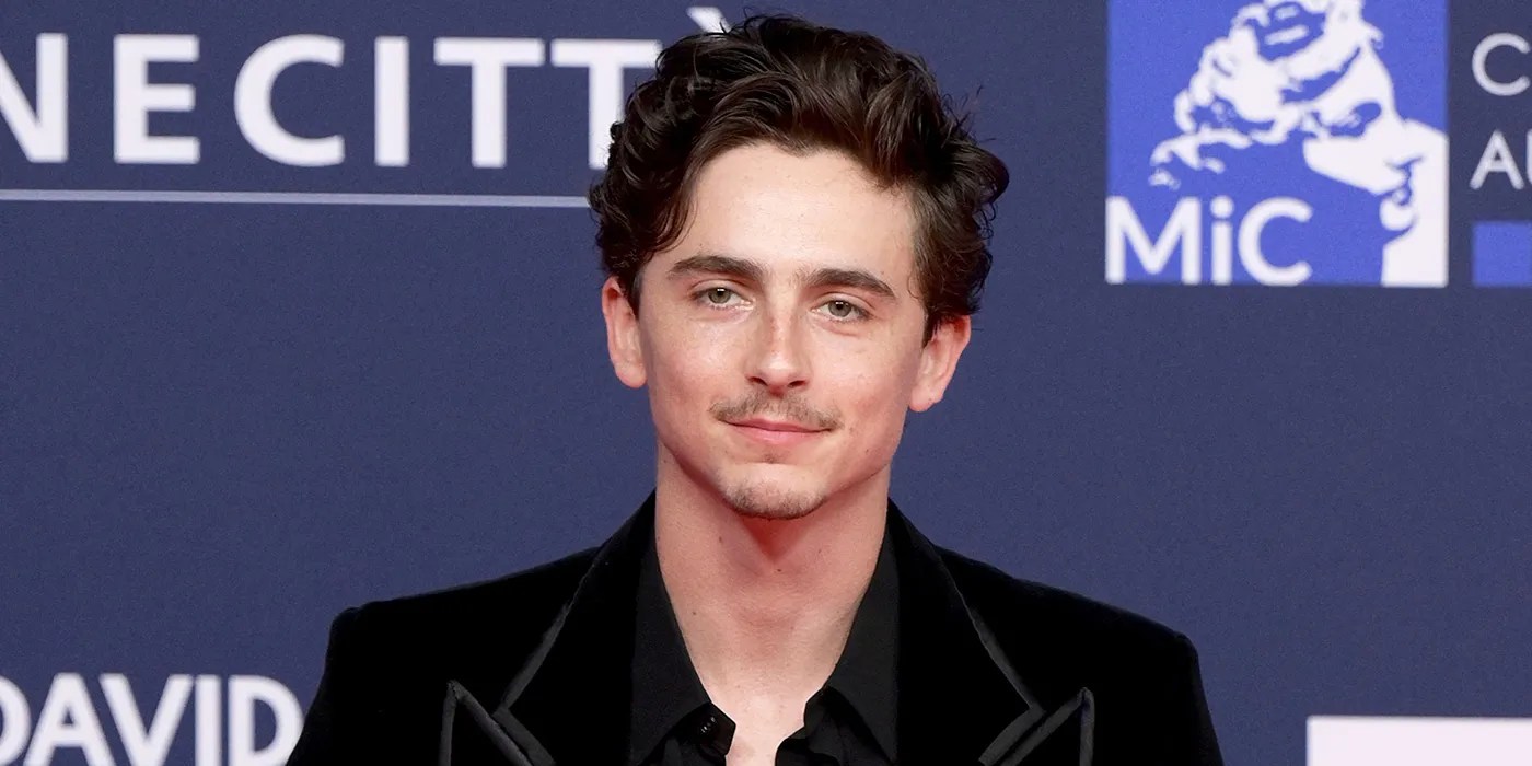 10 Years Later Timothe Chalamet Still Adores This British Music