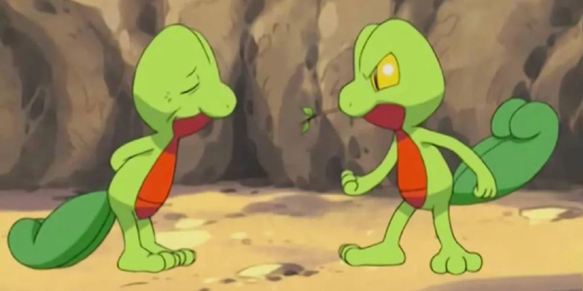 Pokemon Treecko and Treecko