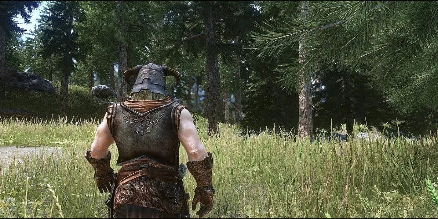 Skyrim Region