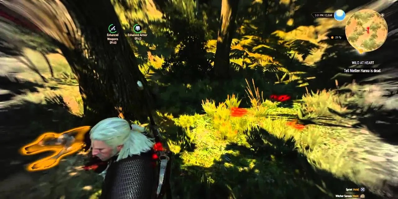 witcher senses