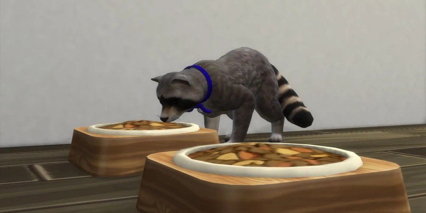 Sims Raccoon Cropped