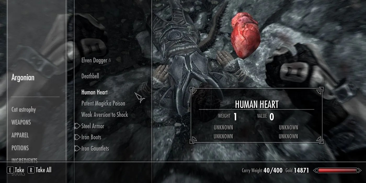 Skyrim Carry