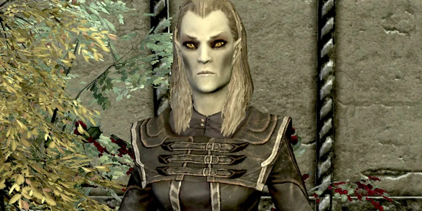Skyrim Elenwen