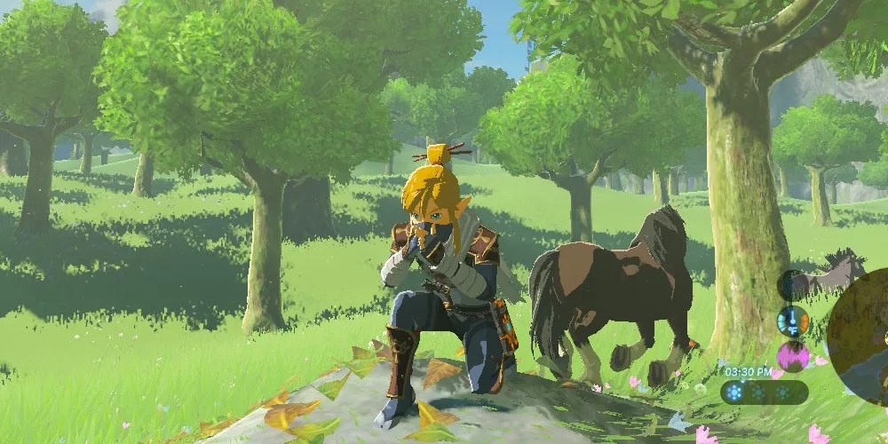Stealth Armor botw